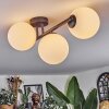 Chehalis ceiling light white, 3-light sources