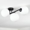 Chehalis ceiling light white, 3-light sources