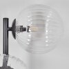 Chehalis globe light 33 cm clear, 3-light sources