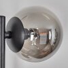 Chehalis globe light Smoke-coloured, 3-light sources