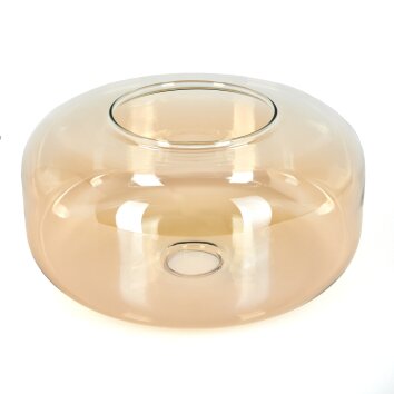 Boza replacement glass Amber, clear