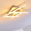 Eriz Ceiling Light LED matt nickel, 4-light sources, Remote control, Colour changer