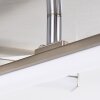 Eriz Ceiling Light LED matt nickel, 4-light sources, Remote control, Colour changer