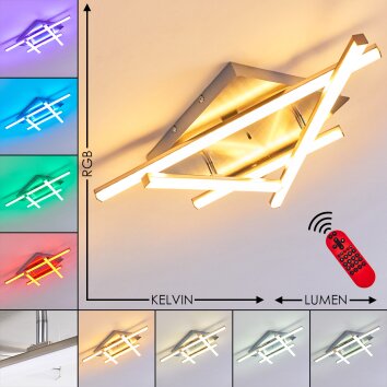 Eriz Ceiling Light LED matt nickel, 4-light sources, Remote control, Colour changer