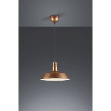 Reality WILL pendant light copper, 1-light source