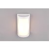 Reality Puelo Outdoor Wall Light white, 1-light source