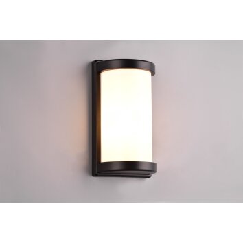 Reality Puelo Outdoor Wall Light black, 1-light source