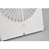 Reality Breezy electric desk fan white