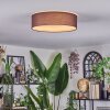 Antillo ceiling light brown, white, 3-light sources