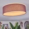 Antillo ceiling light brown, white, 3-light sources