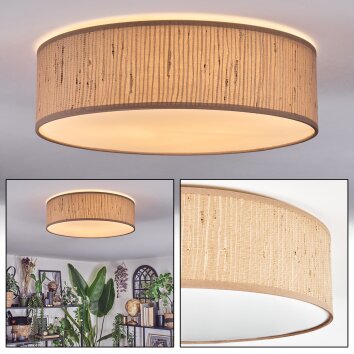 Antillo ceiling light brown, Ecru, white, 3-light sources