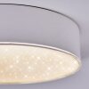 Elmar ceiling light LED white, 1-light source