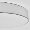 Elmar ceiling light LED silver, 1-light source