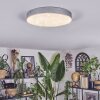 Elmar ceiling light LED silver, 1-light source