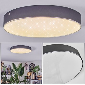 Elmar ceiling light LED black, 1-light source