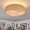 Foggia ceiling light matt nickel, 3-light sources