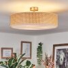 Foggia ceiling light matt nickel, 3-light sources