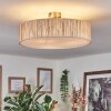 Foggia ceiling light matt nickel, 3-light sources