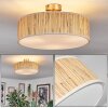 Foggia ceiling light matt nickel, 3-light sources