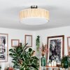 Foggia ceiling light matt nickel, 3-light sources