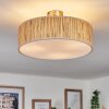 Foggia ceiling light matt nickel, 3-light sources