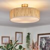 Foggia ceiling light matt nickel, 3-light sources