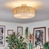 Foggia ceiling light matt nickel, 3-light sources