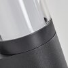 Isara outdoor wall light, wall light LED anthracite, 1-light source