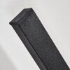 Glara outdoor wall light, wall light LED black, 2-light sources