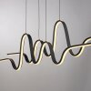 Paul Neuhaus lights Altitude pendant light LED black, 1-light source