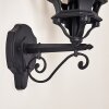 Lentua Outdoor Wall Light black, 1-light source