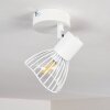 Ceiling Light Holbol white, 1-light source