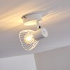 Ceiling Light Holbol white, 1-light source