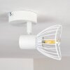 Ceiling Light Holbol white, 1-light source