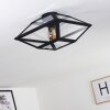 MORAIRA Ceiling Light black, 1-light source