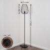 Luano Floor Lamp black, 1-light source