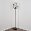 Luano Floor Lamp black, 1-light source