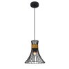 Globo ROXY Pendant Light black, 1-light source