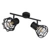 Globo CLASTRA Spotlight black, 2-light sources