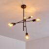 BOGNO Ceiling Light black, 6-light sources