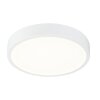 Globo KRULL Ceiling light LED white, 1-light source