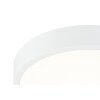 Globo KRULL Ceiling light LED white, 1-light source