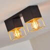 AGAWAM Ceiling Light black, 2-light sources