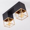 AGAWAM Ceiling Light black, 2-light sources