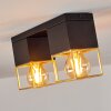 AGAWAM Ceiling Light black, 2-light sources