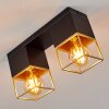 AGAWAM Ceiling Light black, 2-light sources