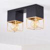 AGAWAM Ceiling Light black, 2-light sources