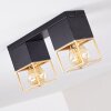 AGAWAM Ceiling Light black, 2-light sources