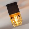 AGAWAM Ceiling Light black, 2-light sources