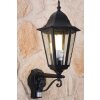 Lutec BRISTOL outdoor wall light black, transparent, clear, 1-light source, Motion sensor